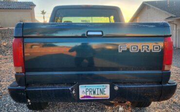 Ford-F-150-1994-5