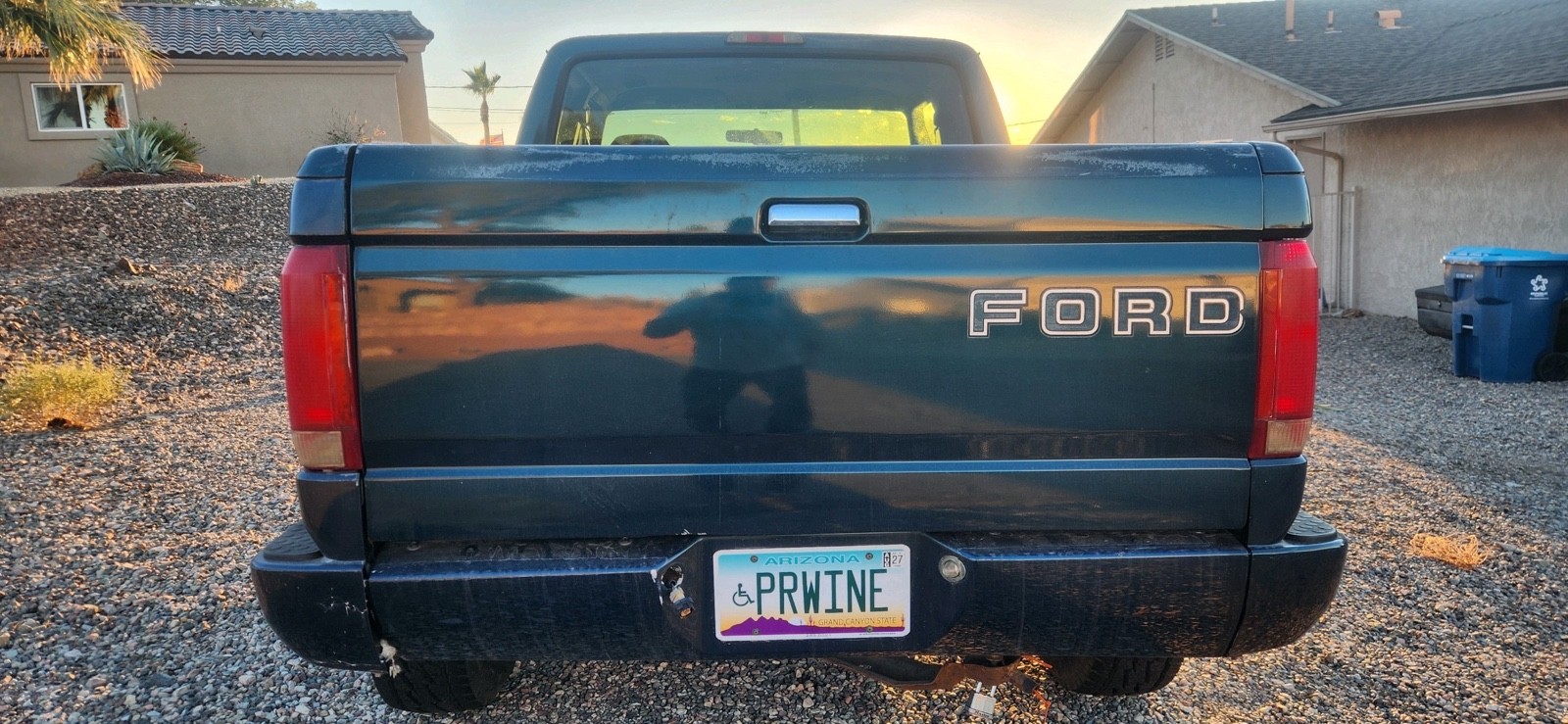 Ford-F-150-1994-5