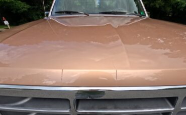 Ford-F-150-1994-Crew-Cab-Pickup-27