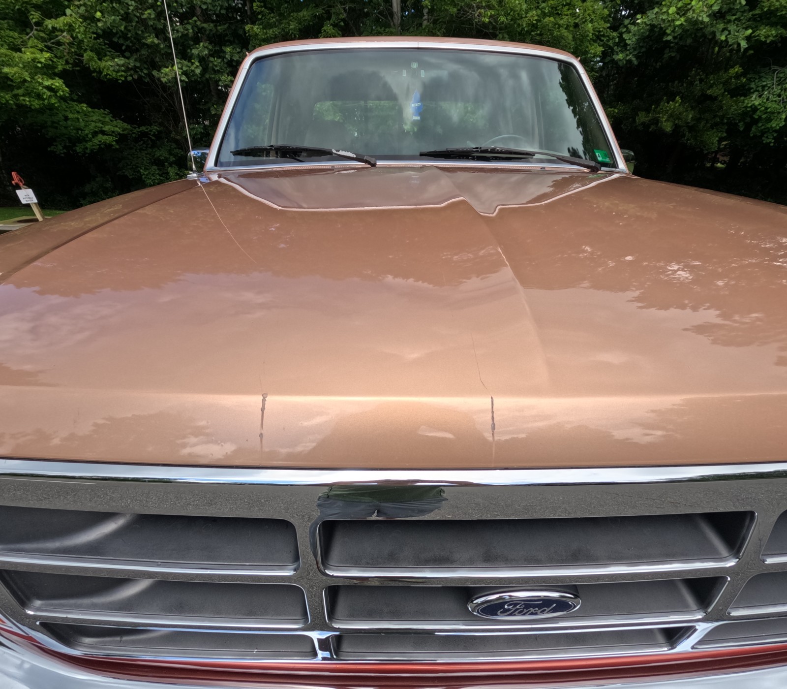 Ford-F-150-1994-Crew-Cab-Pickup-27
