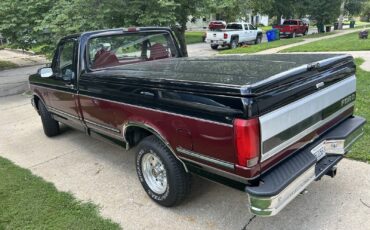 Ford-F-150-1995-Standard-Cab-Pickup-3