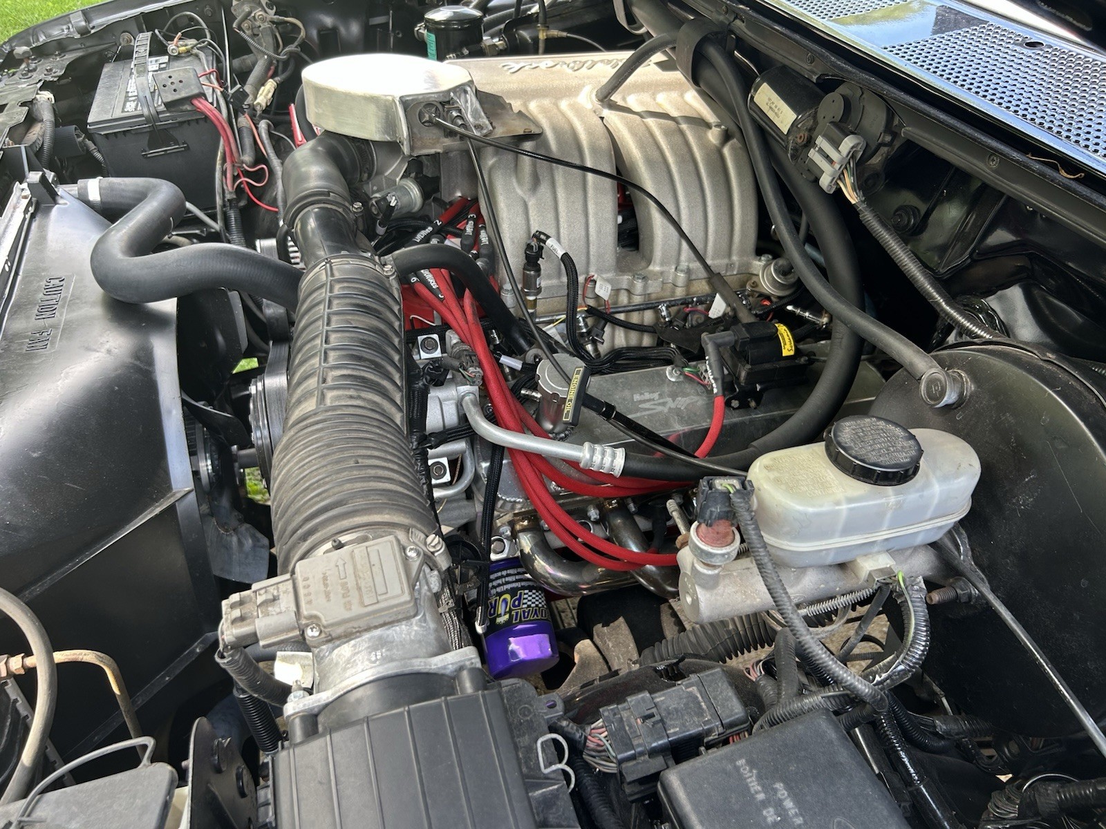 Ford-F-150-1995-Standard-Cab-Pickup-5