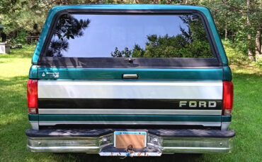 Ford-F-150-1996-Standard-Cab-Pickup-5