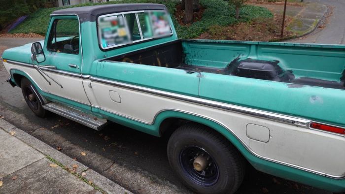 Ford-F-250-1976-Green-1
