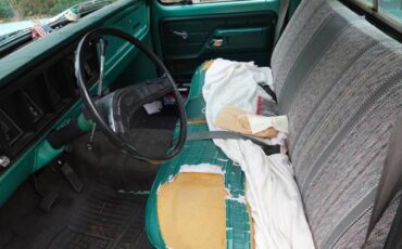 Ford-F-250-1976-Green-11