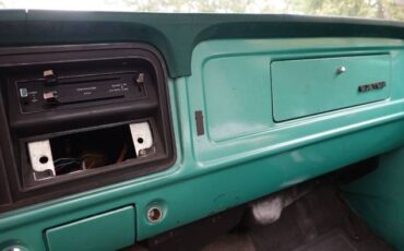 Ford-F-250-1976-Green-12