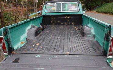 Ford-F-250-1976-Green-16