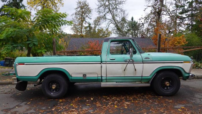Ford-F-250-1976-Green-4