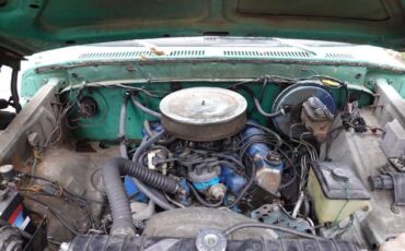 Ford-F-250-1976-Green-5