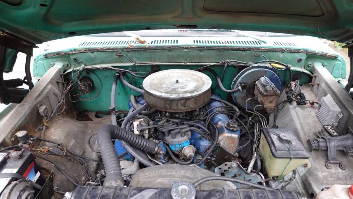 Ford-F-250-1976-Green-5
