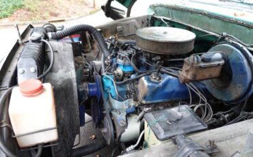 Ford-F-250-1976-Green-7