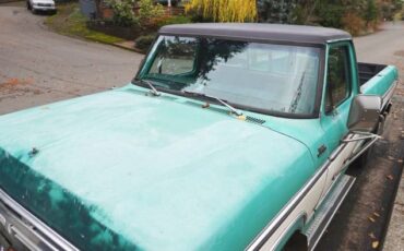 Ford-F-250-1976-Green-8