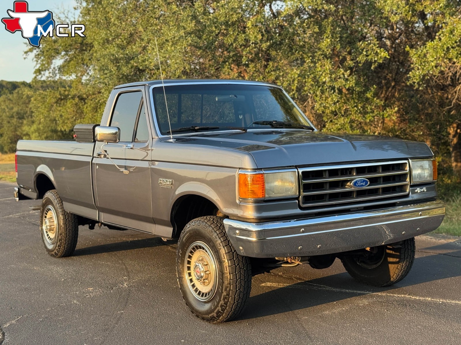 Ford-F-250-1989-Standard-Cab-Pickup-20