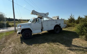 Ford-F-550-1991-3