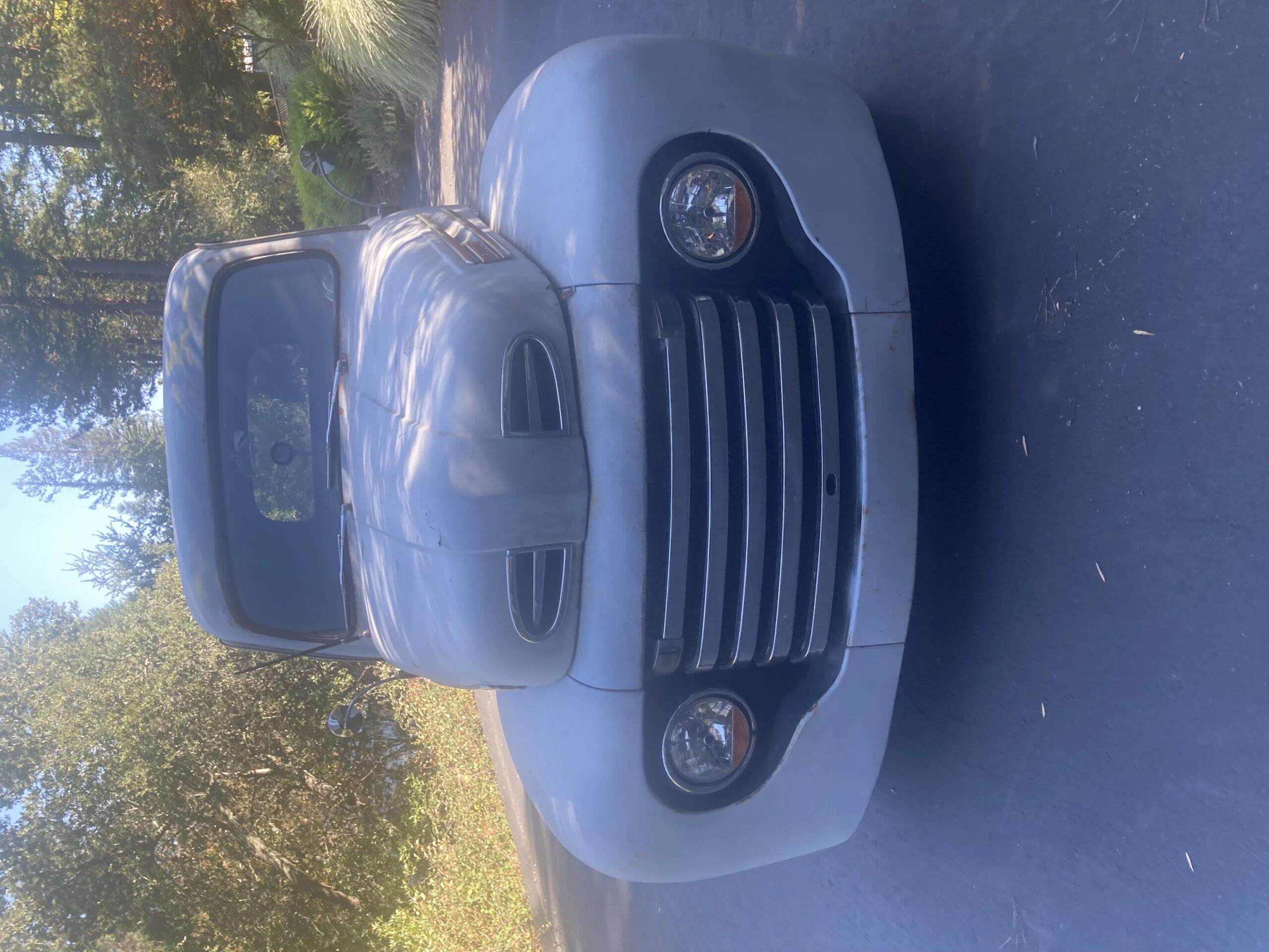 Ford-F1-1949-Gray-Gray-6