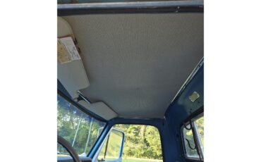 Ford-F100-1970-Blue-Blue-20