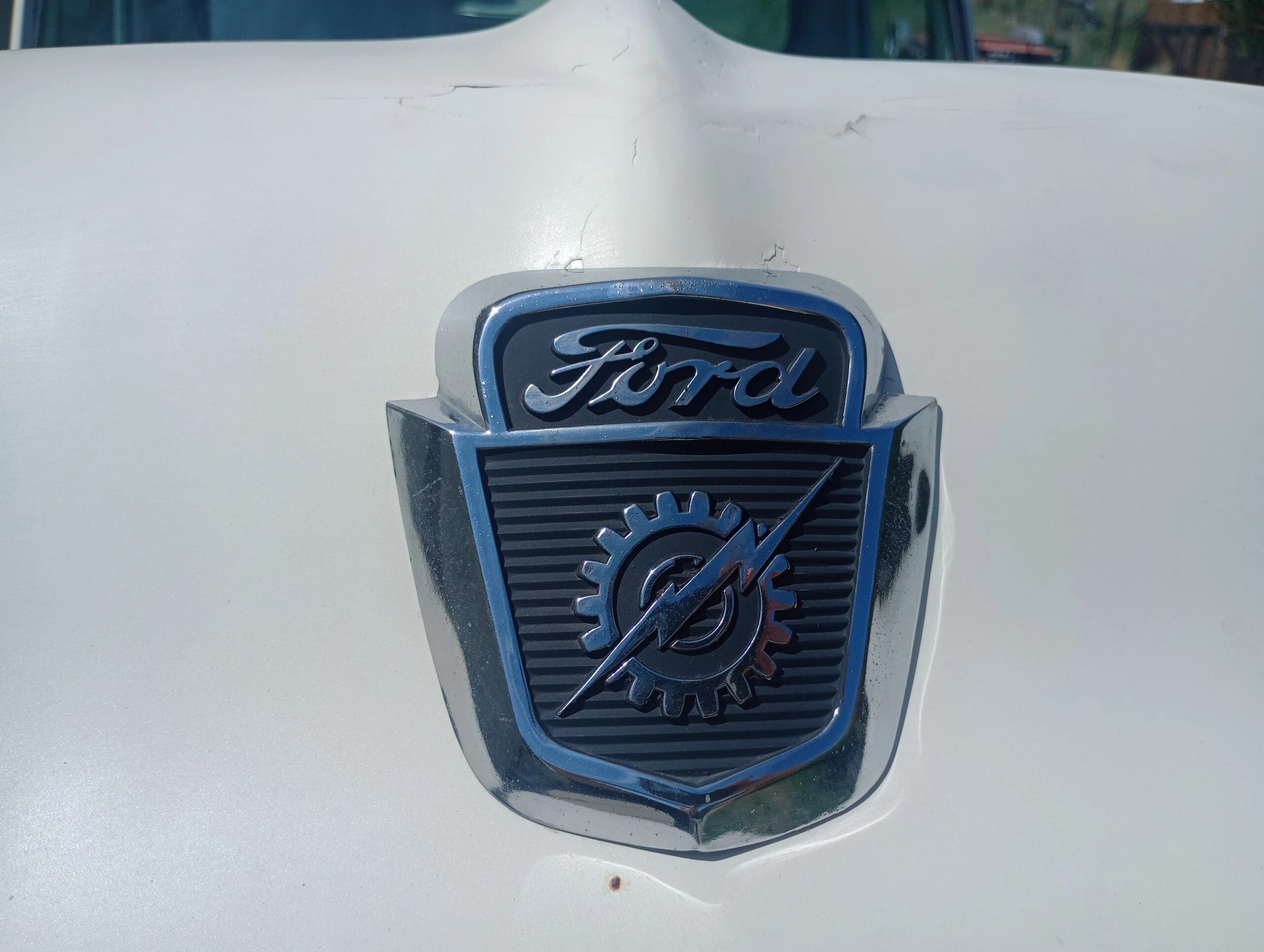 Ford-F100-2wd-regular-cab-1954-White-White-3
