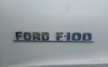 Ford-F100-2wd-regular-cab-1954-White-White-4