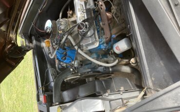 Ford-F100-2wd-regular-cab-1966-Brown-Brown-13