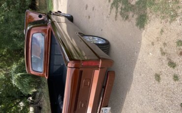 Ford-F100-2wd-regular-cab-1966-Brown-Brown-15