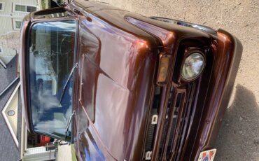 Ford-F100-2wd-regular-cab-1966-Brown-Brown-20