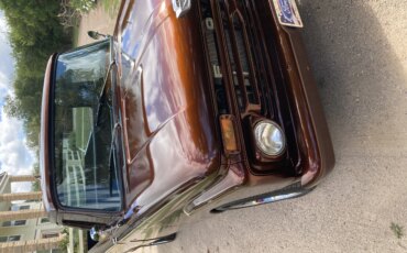 Ford-F100-2wd-regular-cab-1966-Brown-Brown-24