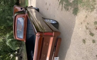 Ford-F100-2wd-regular-cab-1966-Brown-Brown-35