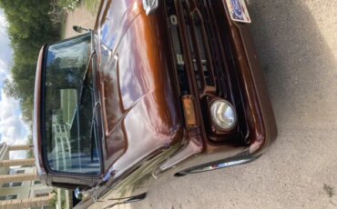 Ford-F100-2wd-regular-cab-1966-Brown-Brown-37