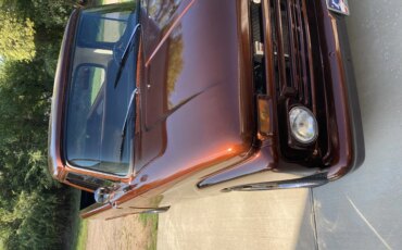 Ford-F100-2wd-regular-cab-1966-Brown-Brown-7