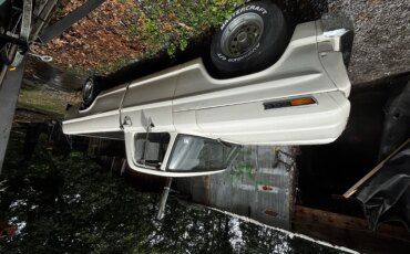 Ford-F100-2wd-regular-cab-1967-White