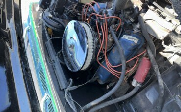 Ford-F100-2wd-regular-cab-1974-Green-Yellow-21