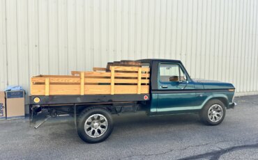 Ford-F100-2wd-regular-cab-1974-Green-Yellow