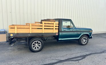 Ford-F100-2wd-regular-cab-1974-Green-Yellow-42