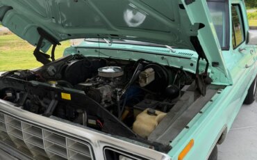 Ford-F100-2wd-regular-cab-1978-Green-Green-7