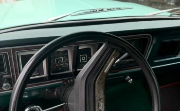 Ford-F100-2wd-regular-cab-1978-Green-Green-8