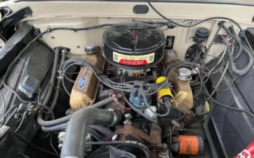 Ford-F100-custom-1966-1