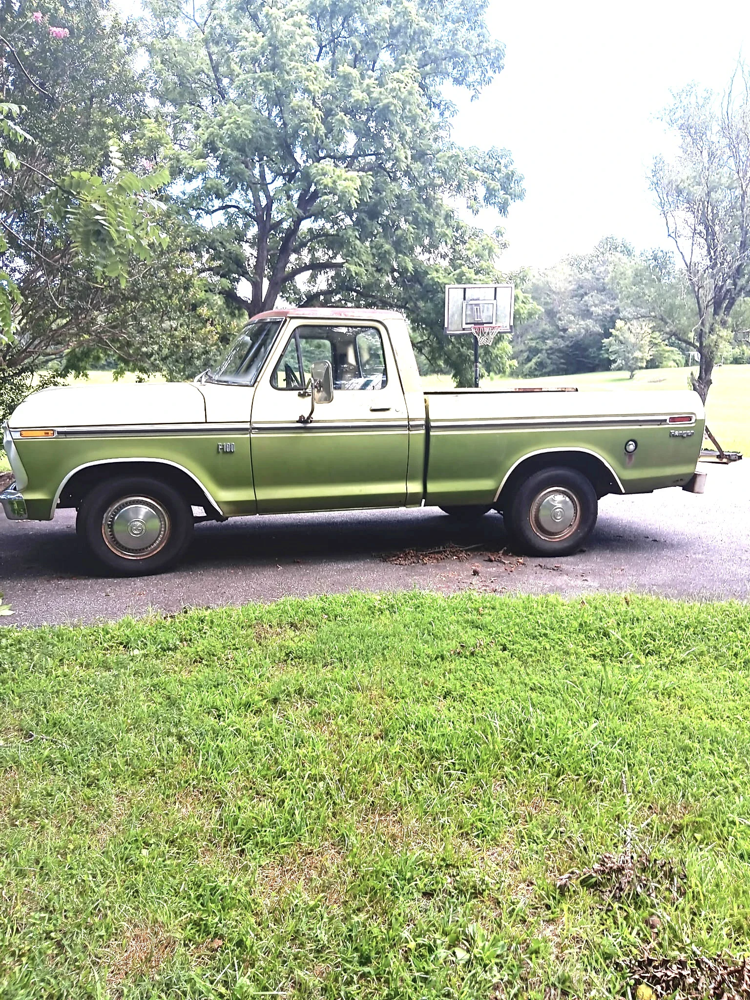 Ford-F100-custom-1976-Green-Green-3