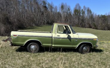 Ford-F100-custom-1976-Green-Green-6