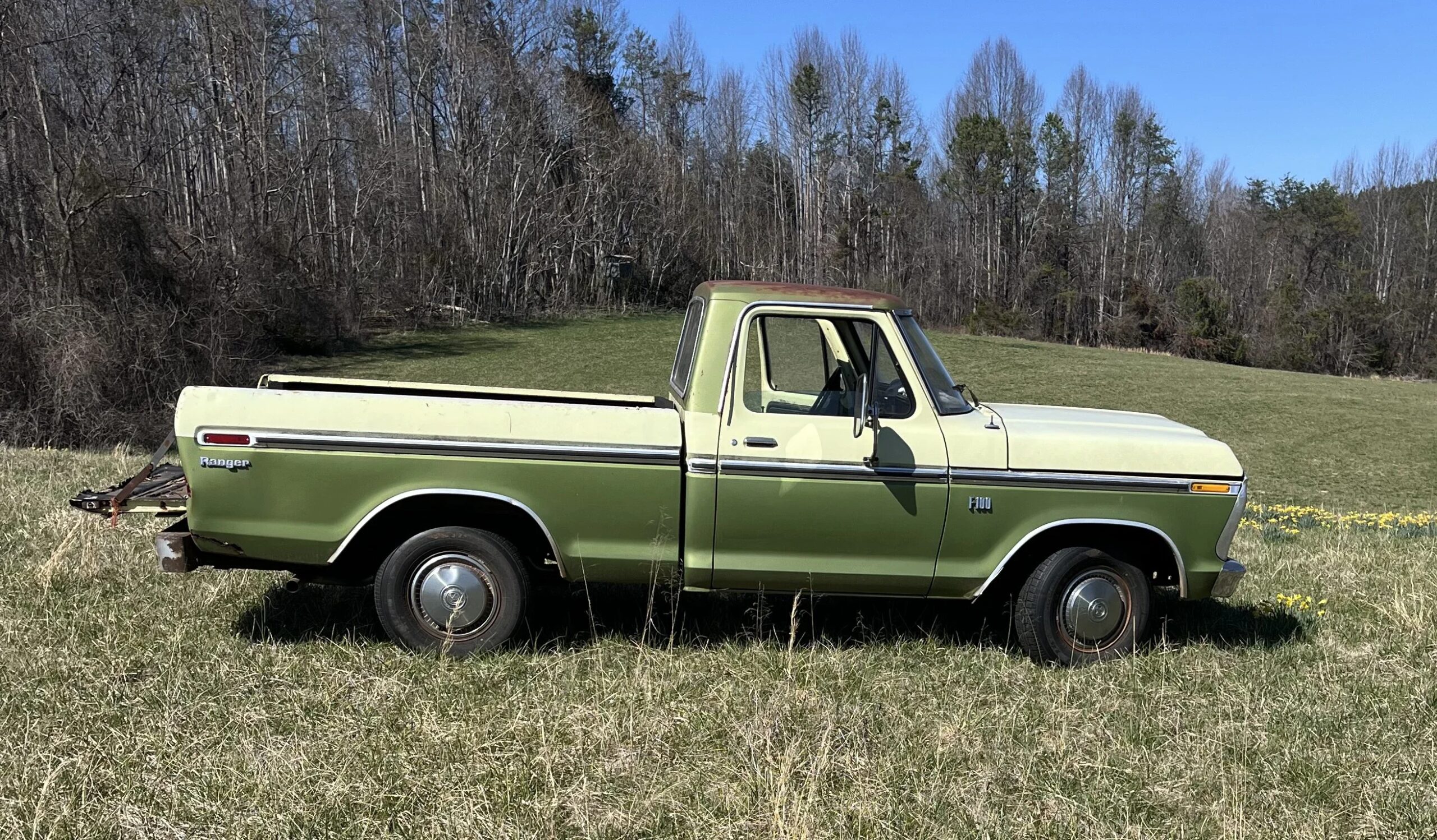 Ford-F100-custom-1976-Green-Green-6