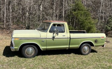 Ford-F100-custom-1976-Green-Green-7