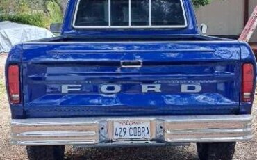 Ford-F150-2wd-regular-cab-1975-Blue-Blue-10
