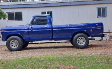Ford-F150-2wd-regular-cab-1975-Blue-Blue-7