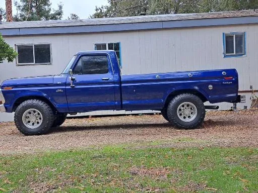 Ford-F150-2wd-regular-cab-1975-Blue-Blue-7