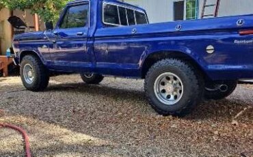 Ford-F150-2wd-regular-cab-1975-Blue-Blue-8