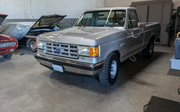 Ford-F150-2wd-regular-cab-1988-Gray-Gray-25