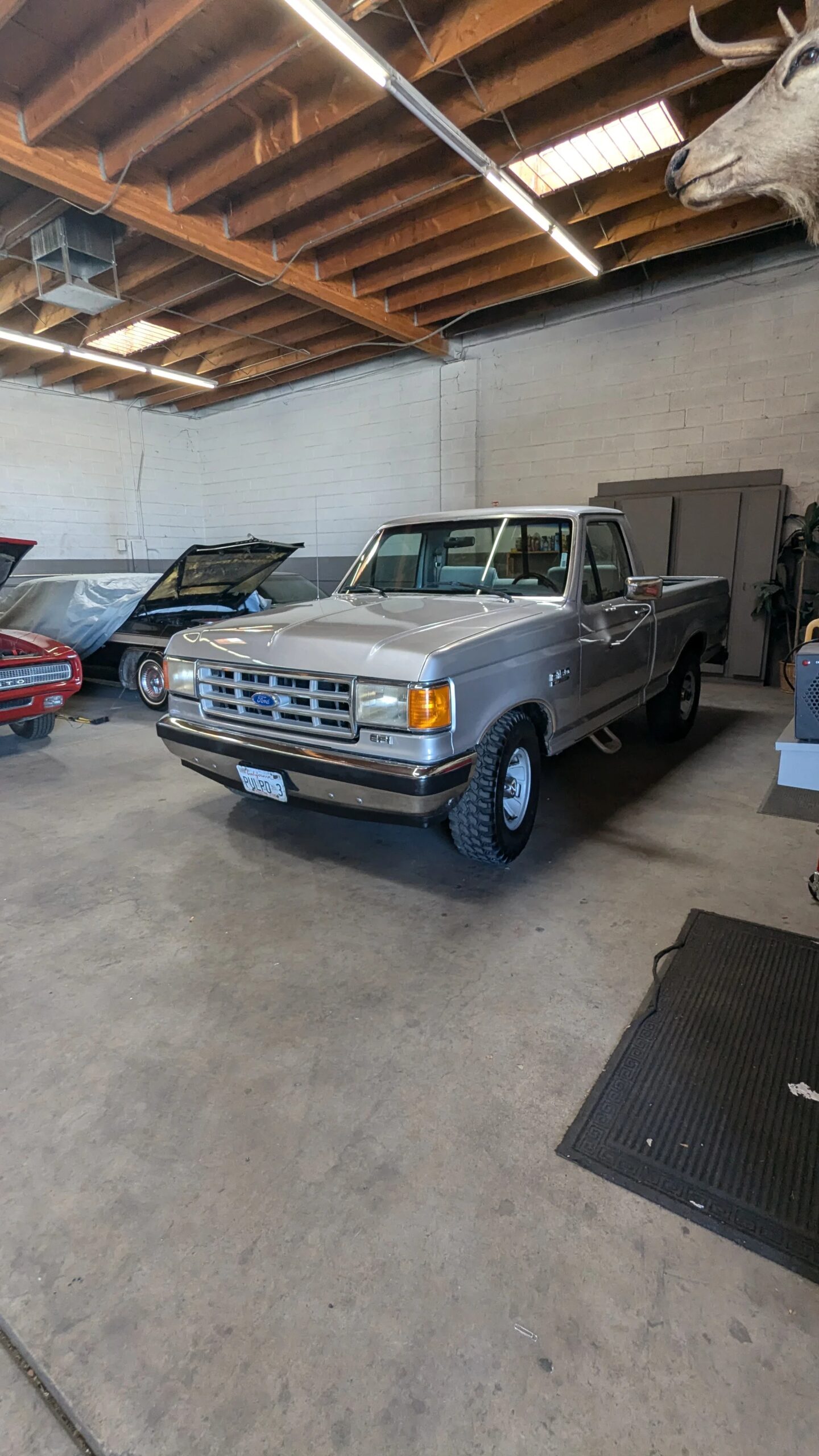 Ford-F150-2wd-regular-cab-1988-Gray-Gray-25