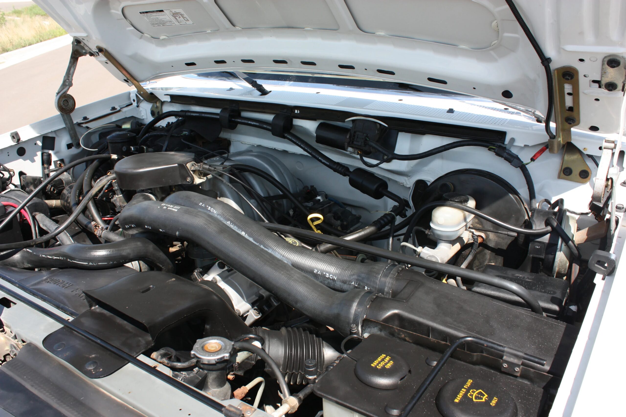 Ford-F150-2wd-regular-cab-1992-White-Brown-16