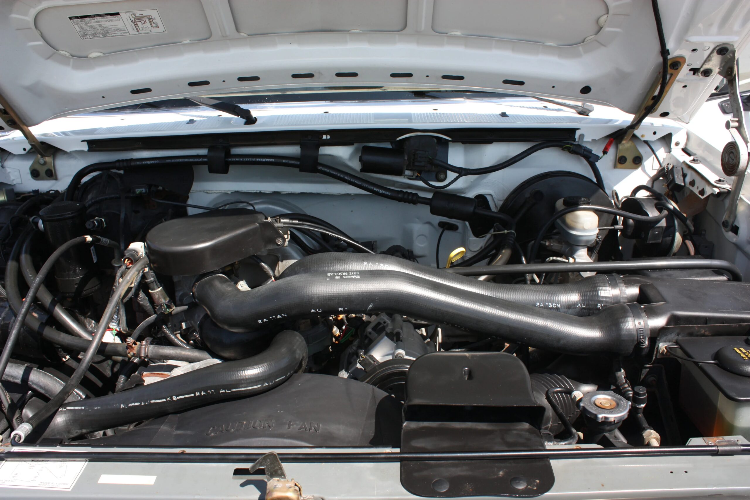 Ford-F150-2wd-regular-cab-1992-White-Brown-17