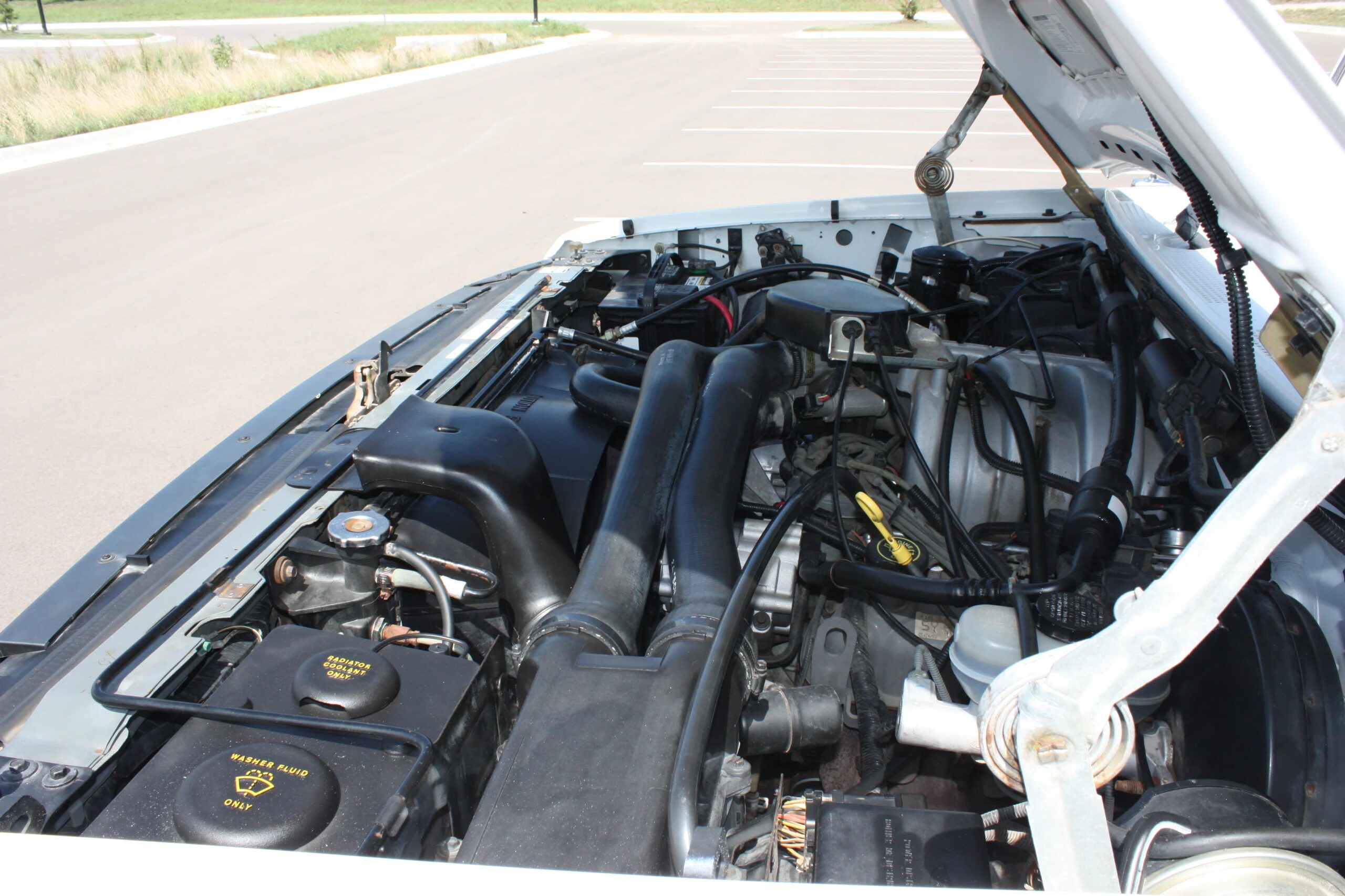 Ford-F150-2wd-regular-cab-1992-White-Brown-20