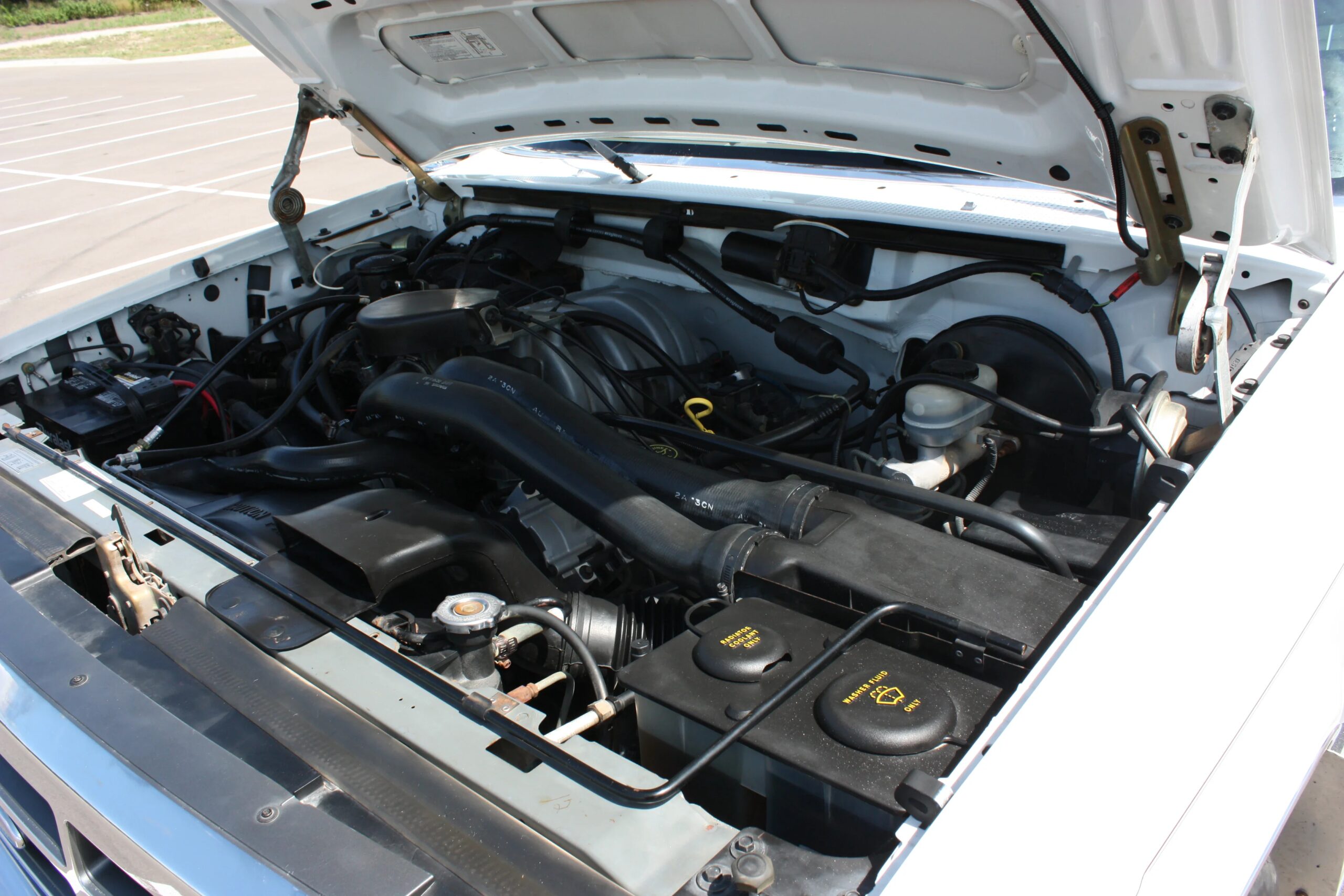Ford-F150-2wd-regular-cab-1992-White-Brown-6
